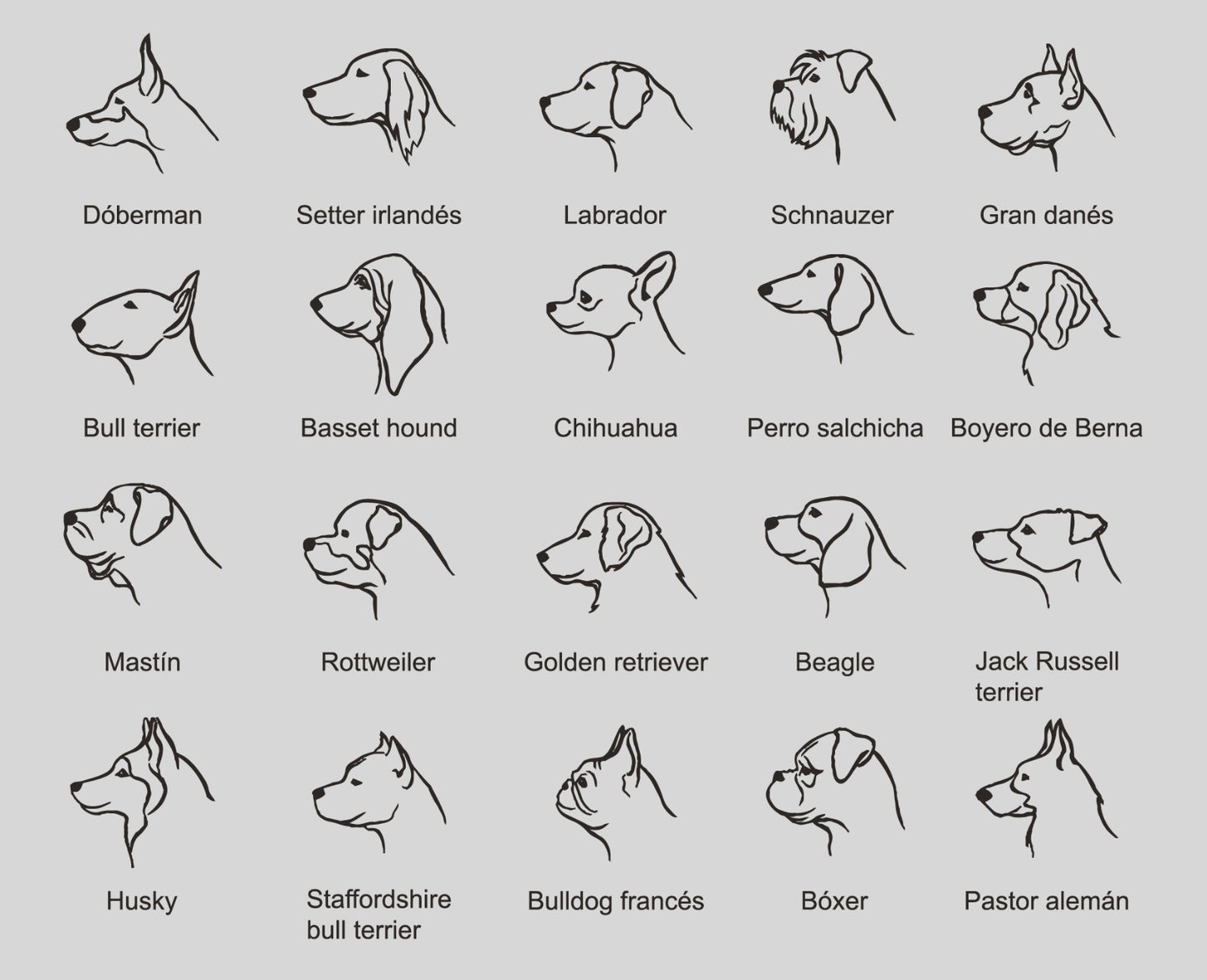 Colgante Mascota personalizable en Plata de Ley 925 y baño Oro 18k