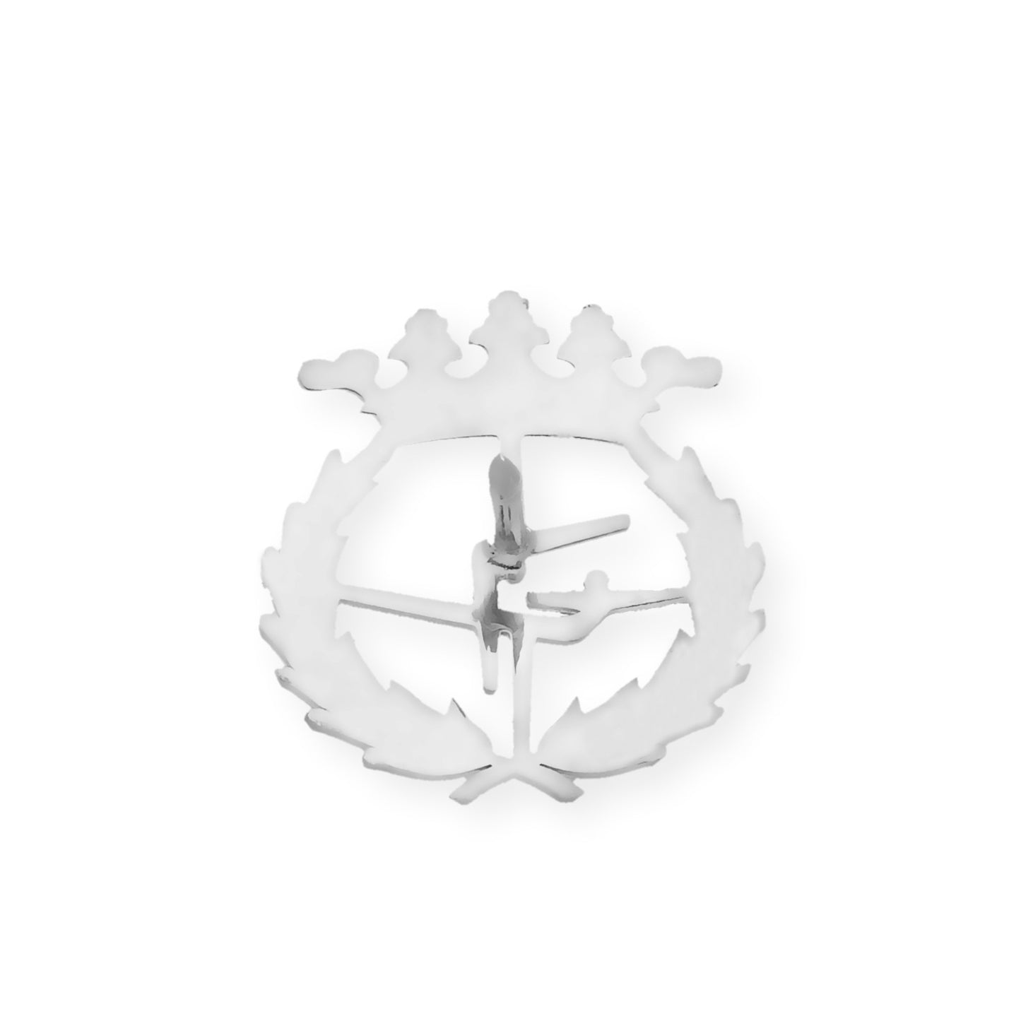 Pin Insignia Profesional de ciencias del deporte en Plata de Ley 925