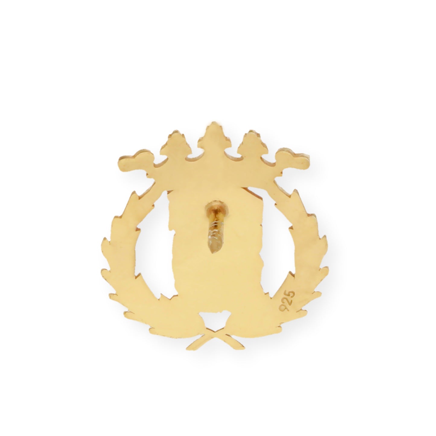 Pin Insignia Profesional de Ciencias Exactas en Plata de Ley 925 Bañada en Oro de 18K
