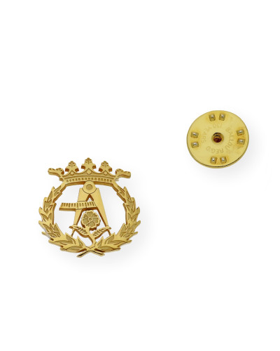 Pin Insignia Profesional de Arquitectura en Plata de Ley 925 Bañada en Oro de 18K