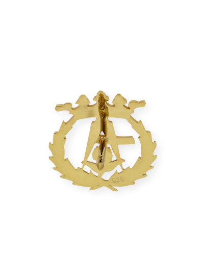 Pin Insignia Profesional de Arquitectura en Plata de Ley 925 Bañada en Oro de 18K