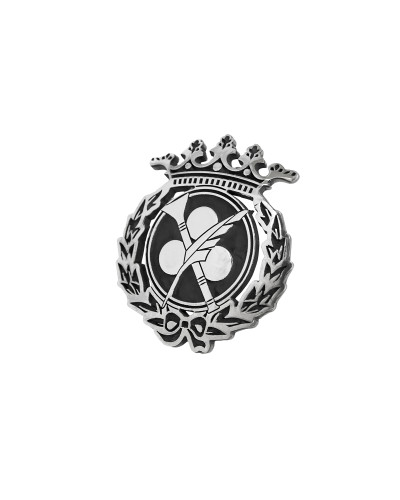 Pin Insignia Profesional de Comunicación Audiovisual en Plata de Ley 925