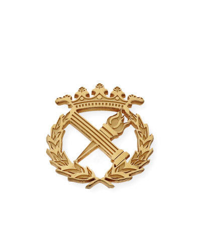 Pin Insignia Profesional de Filosofía en Plata de Ley 925 Bañada en Oro de 18K