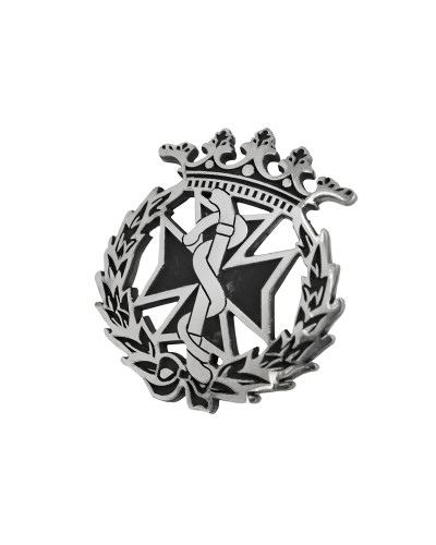Pin Insignia Profesional de Odontología en Plata de Ley 925