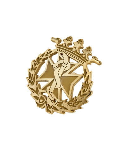 Pin Insignia Profesional de Odontología en Plata de Ley 925 Bañada en Oro de 18K