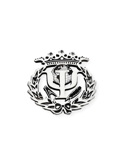 Pin Insignia Profesional de Pedagogía en Plata de Ley 925