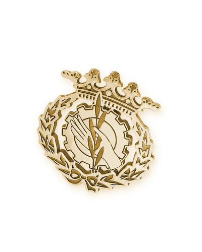 Pin Insignia Profesional de Trabajo Social en Oro de Ley 18K