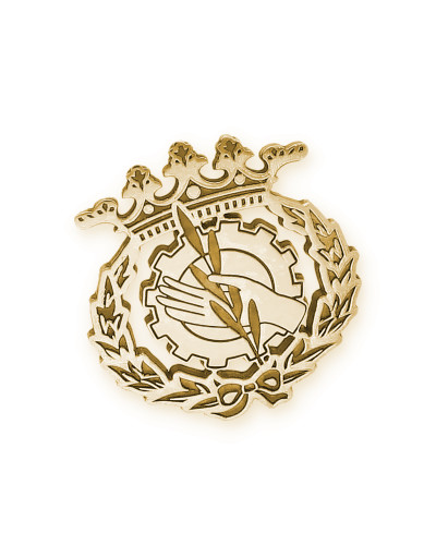 Pin Insignia Profesional de Trabajo Social en Oro de Ley 18K