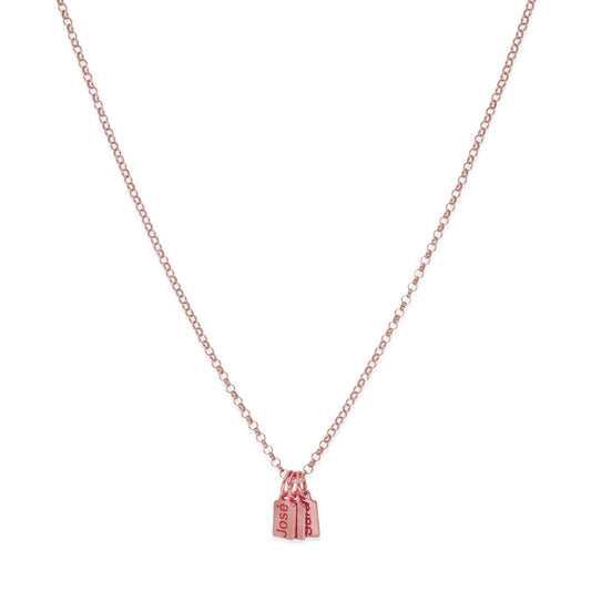 Collar Vesta nombres en Plata 925 y Baño Oro rosa 18k