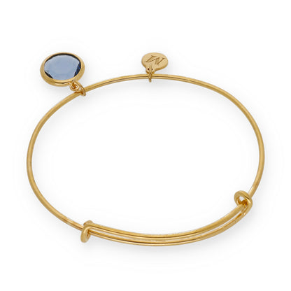 Pulsera Olinda rígida Dije Inicial y piedra color en Plata 925 y Baño Oro rosa 18k