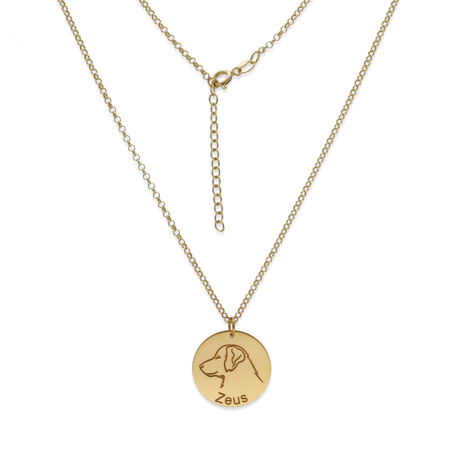 Colgante Mascota personalizable en Plata de Ley 925