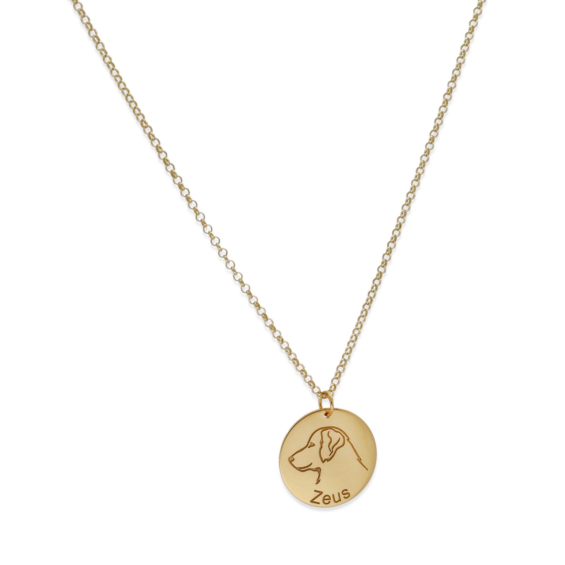 Colgante Mascota personalizable en Plata de Ley 925 y baño Oro 18k