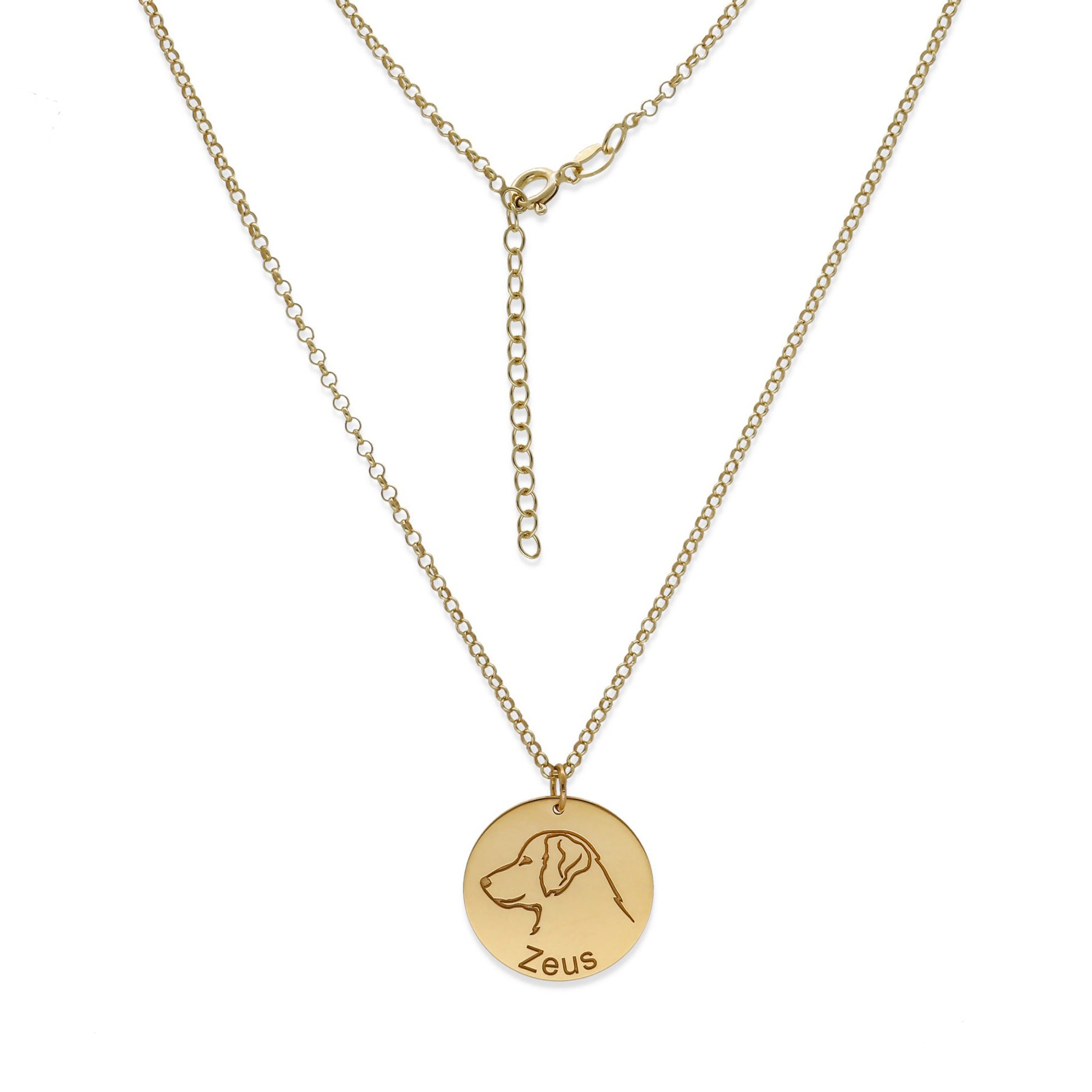 Colgante Mascota personalizable en Plata de Ley 925 y baño Oro rosa 18k