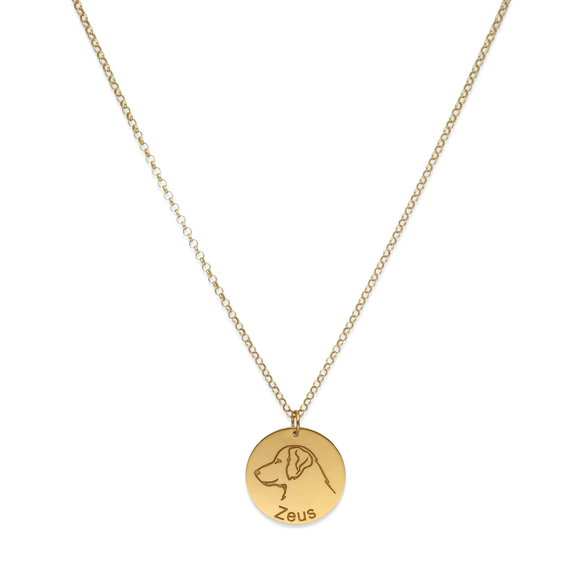 Colgante Mascota personalizable en Plata de Ley 925 y baño Oro rosa 18k