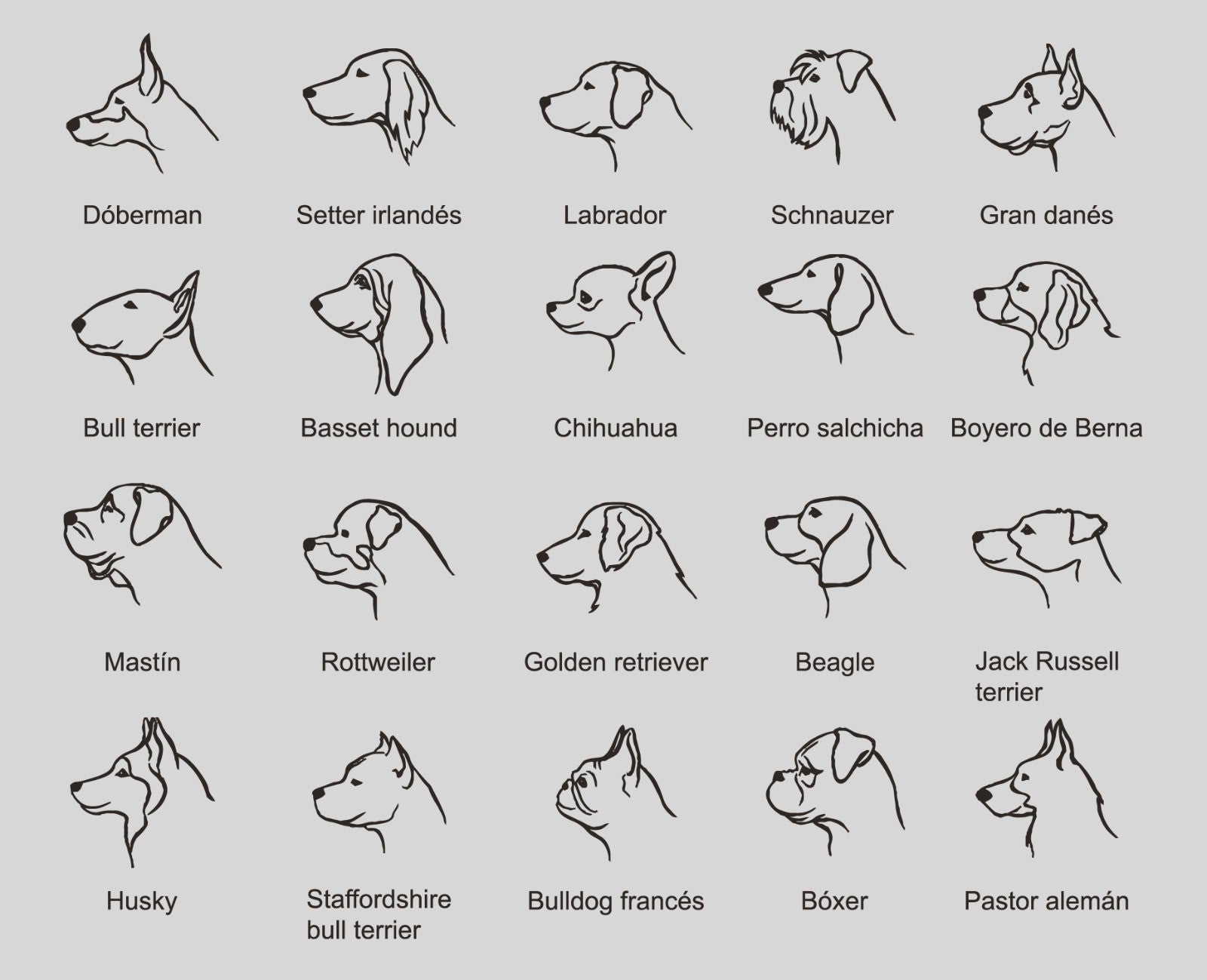 Colgante Mascota personalizable en Plata de Ley 925 y baño Oro rosa 18k