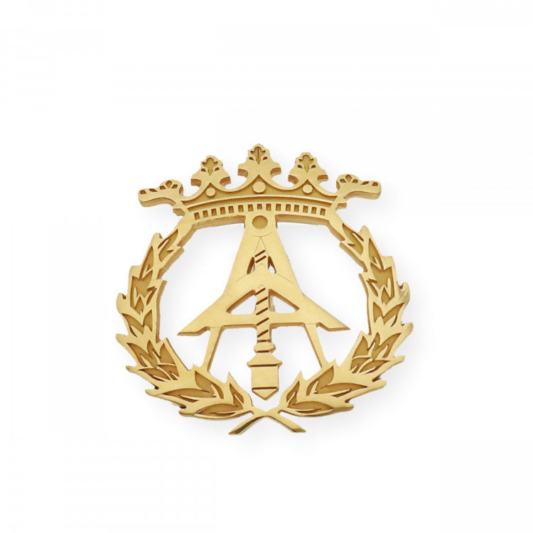 Pin Insignia Profesional de Arquitectura técnica en Plata de Ley 925 Bañada en Oro de 18K