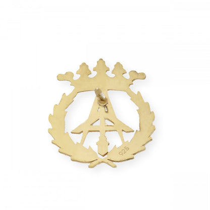 Pin Insignia Profesional de Arquitectura técnica en Plata de Ley 925 Bañada en Oro de 18K