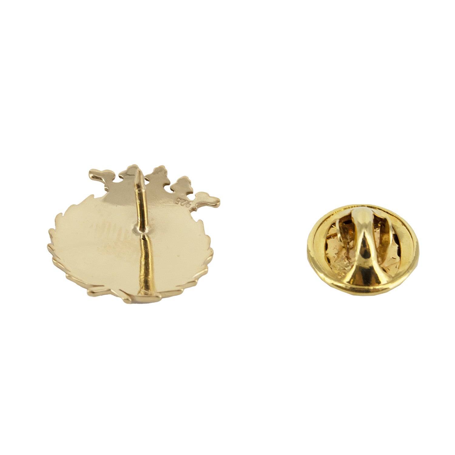 Pin Insignia Profesional de Biotecnología en Plata de Ley 925 Bañada en Oro de 18K