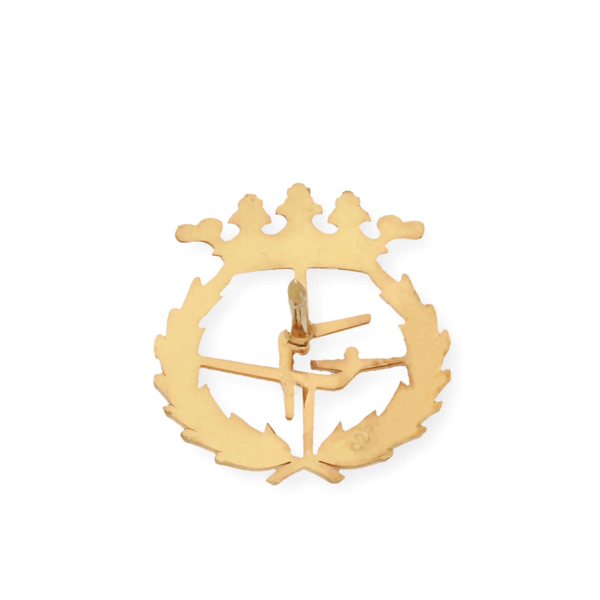 Pin Insignia Profesional de ciencias del deporte en Oro de Ley 18K