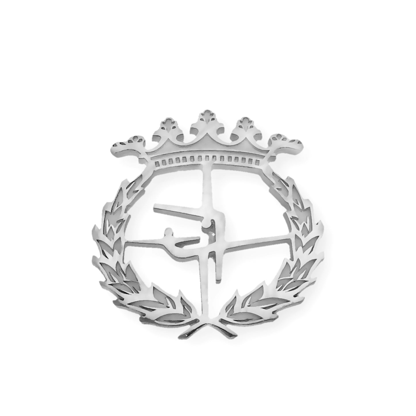 Pin Insignia Profesional de ciencias del deporte  en Plata de Ley 925