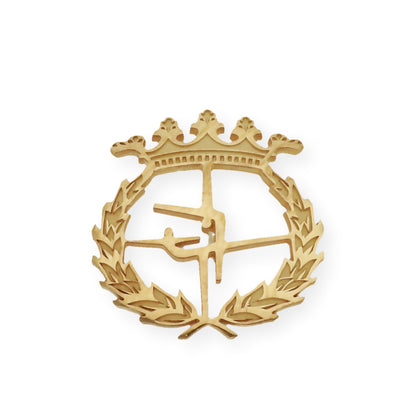 Pin Insignia Profesional de Ciencias del Deporte en Plata de Ley 925 Bañada en Oro de 18K