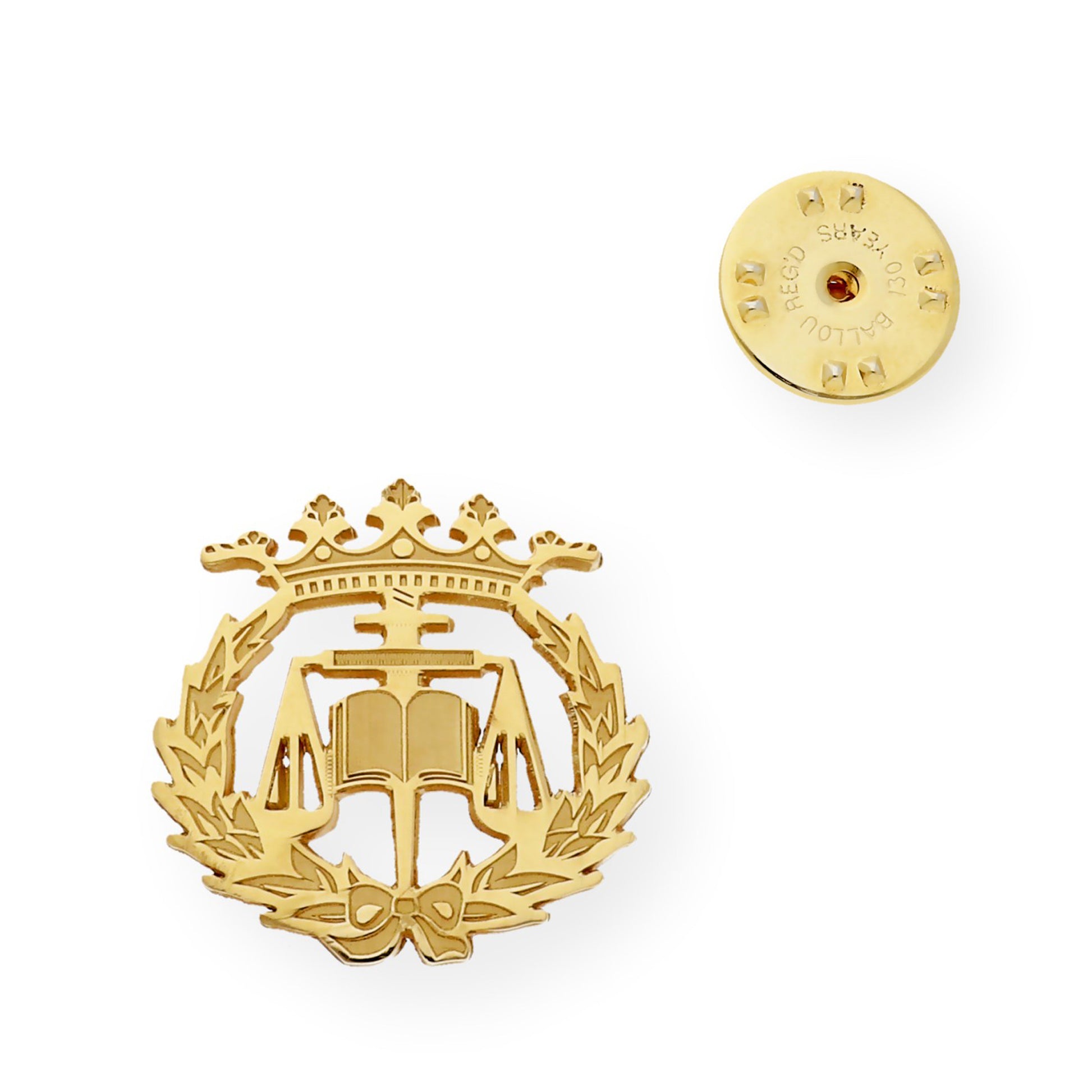 Pin Insignia Profesional de Ciencias del Trabajo en Oro de Ley 18K