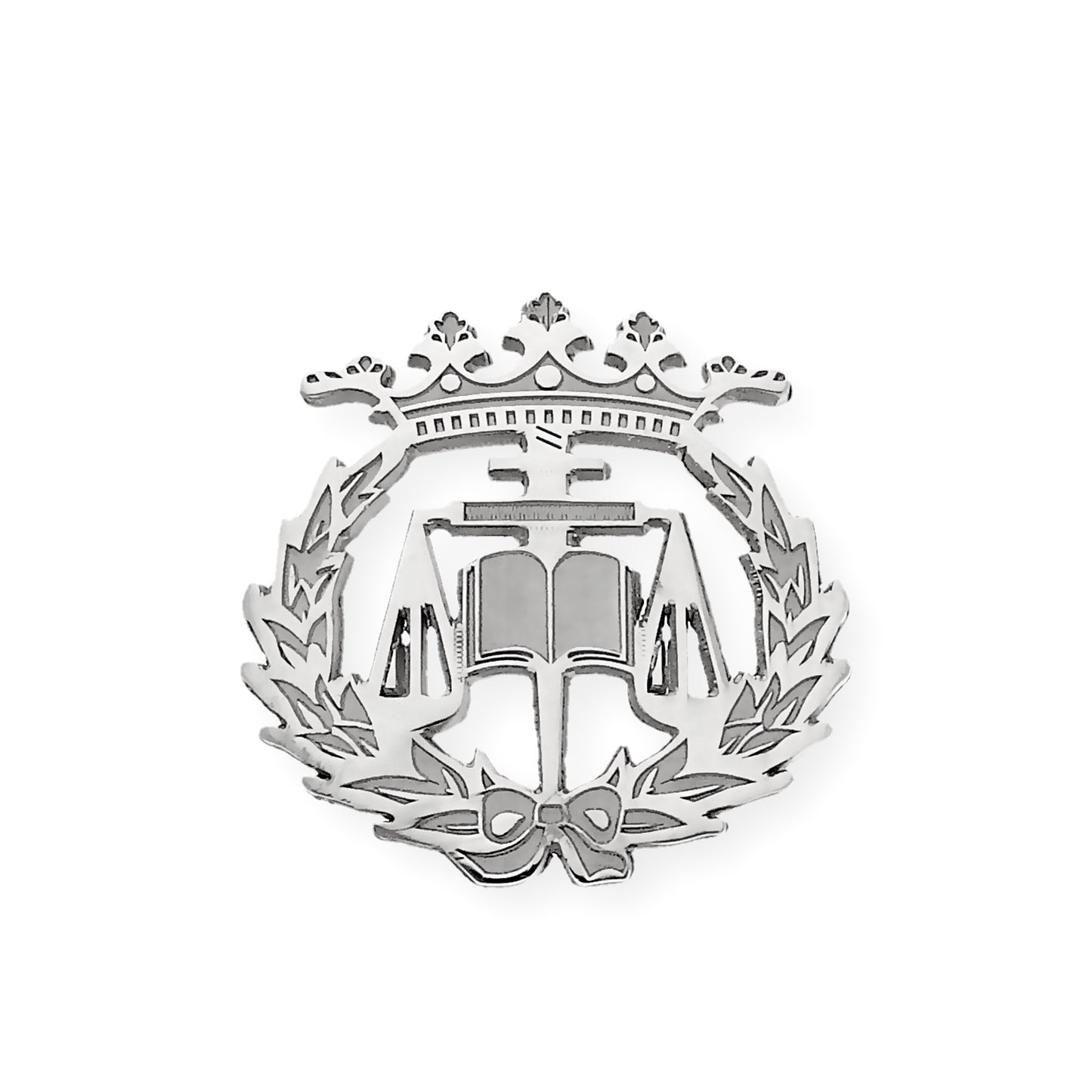 Pin Insignia Profesional de Ciencias del Trabajo en Plata de Ley 925