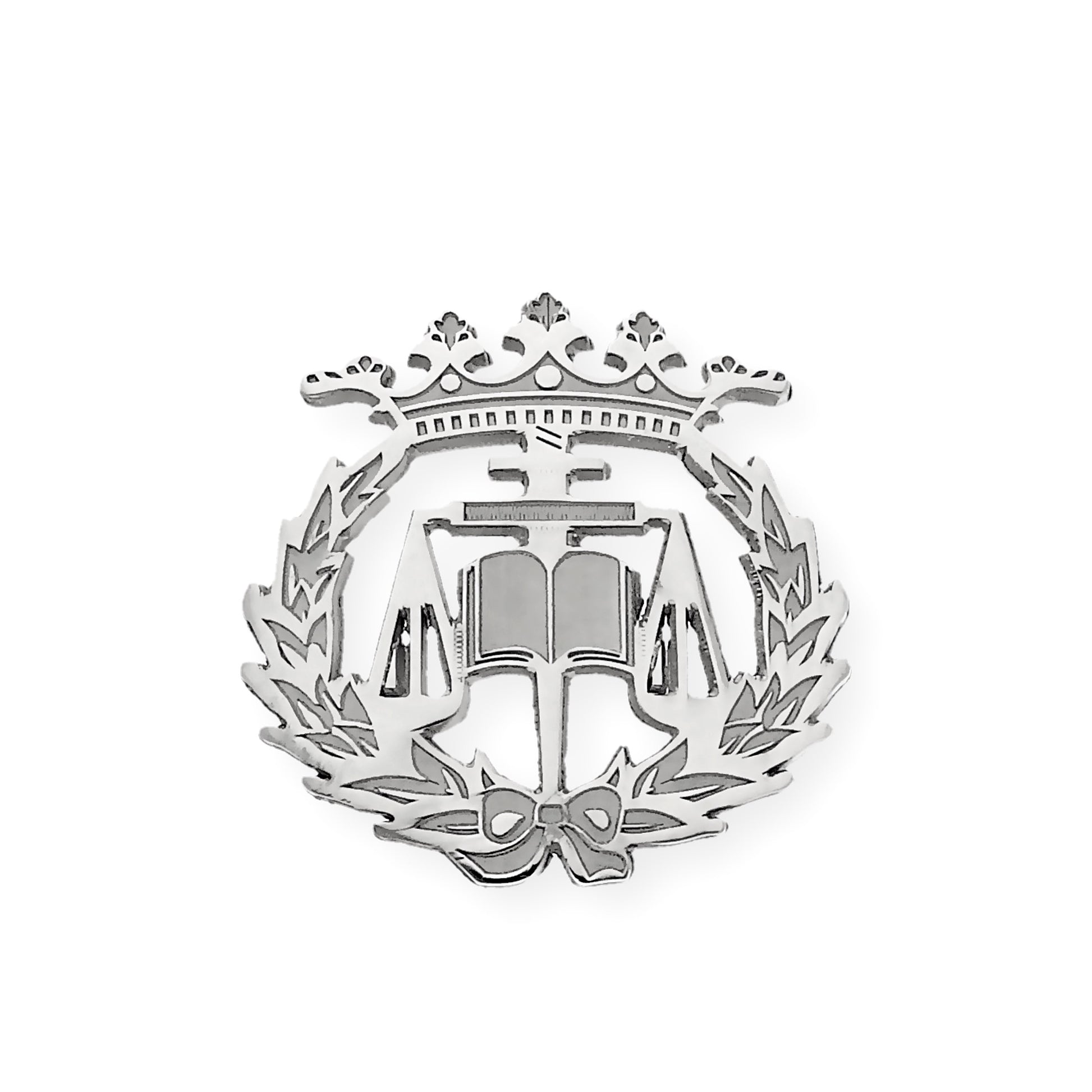 Pin Insignia Profesional de Ciencias del Trabajo en Plata de Ley 925