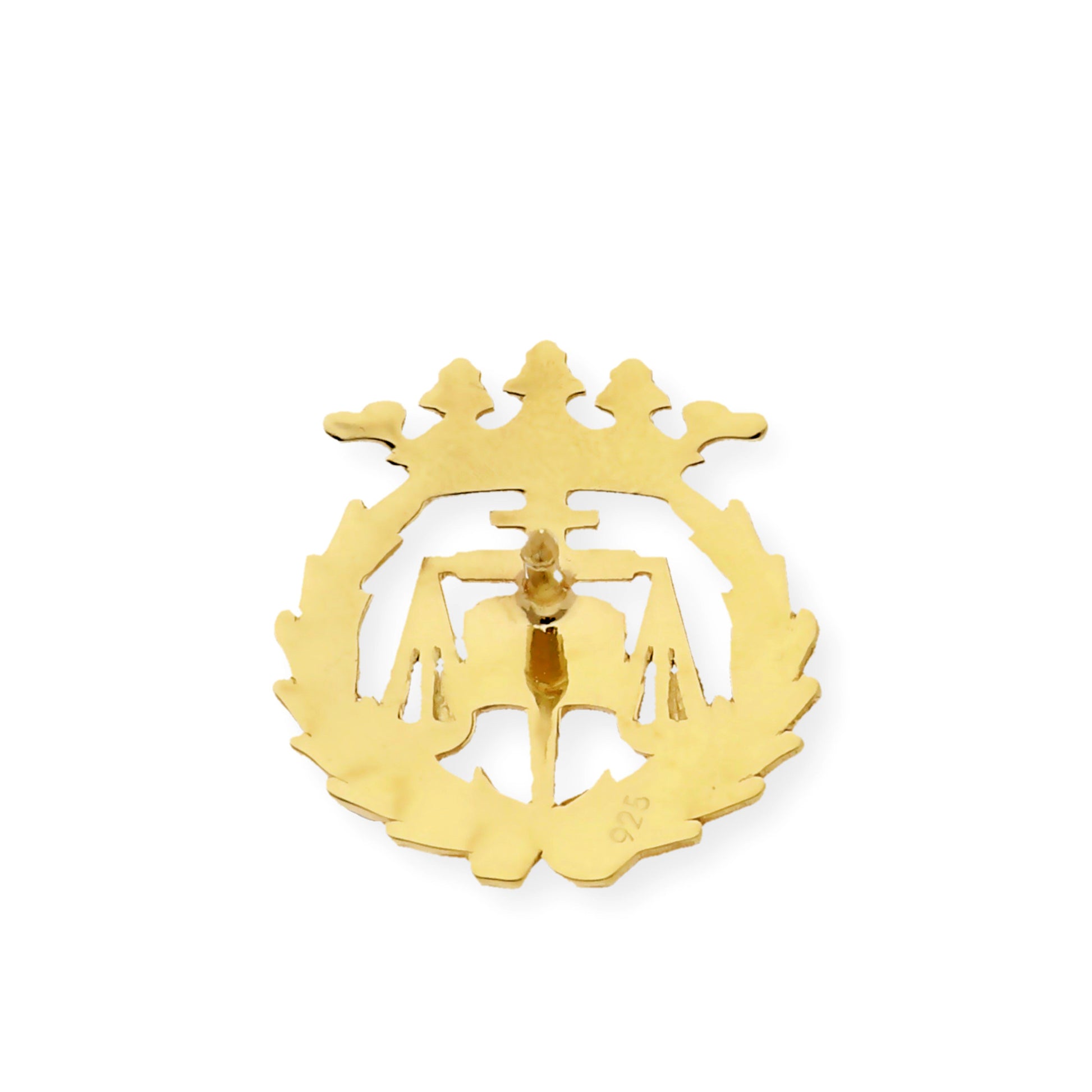 Pin Insignia Profesional de Ciencias del Trabajo en Plata de Ley 925 Bañada en Oro de 18K