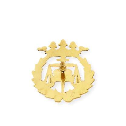 Pin Insignia Profesional de Ciencias del Trabajo en Plata de Ley 925 Bañada en Oro de 18K