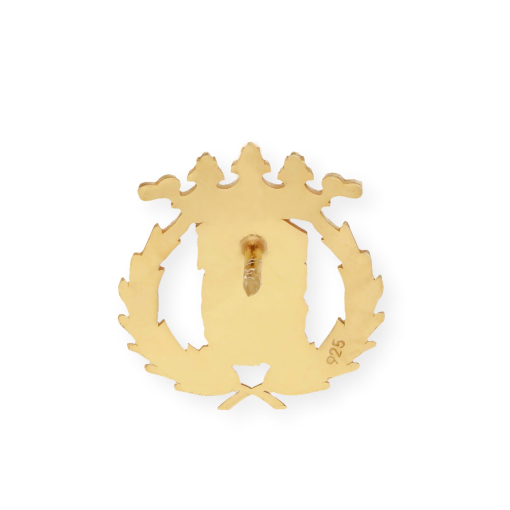 Pin Insignia Profesional de Ciencias Exactas en Plata de Ley 925 Bañada en Oro de 18K