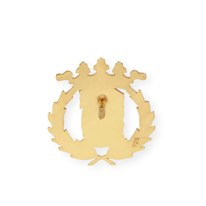 Pin Insignia Profesional de Ciencias Exactas en Plata de Ley 925 Bañada en Oro de 18K