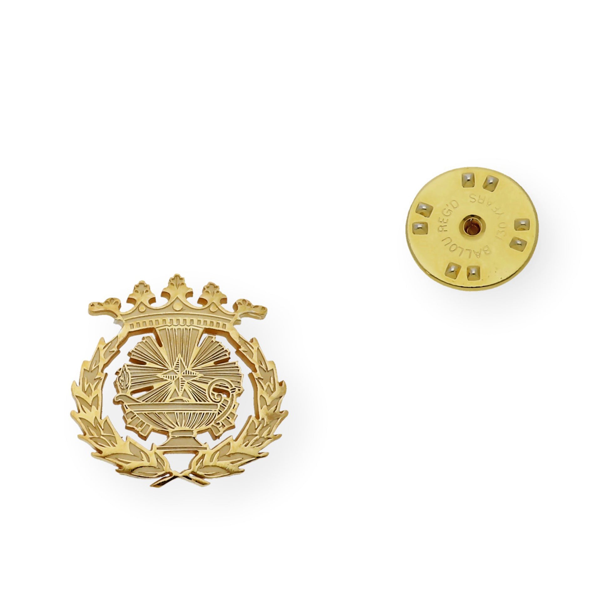 Pin Insignia Profesional de Ciencias Químicas en Oro de Ley 18K