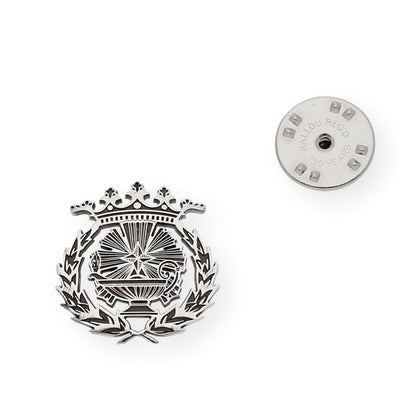 Pin Insignia Profesional de Ciencias Químicas en Plata de Ley 925