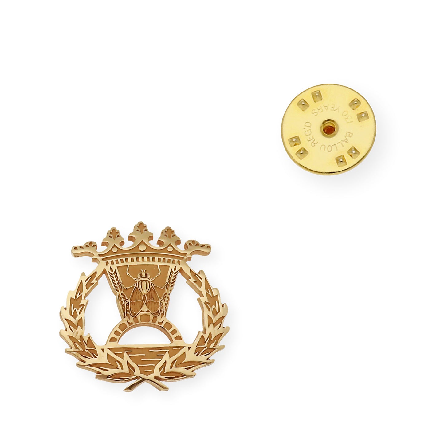 Pin Insignia Profesional de Economía en Oro de Ley 18K