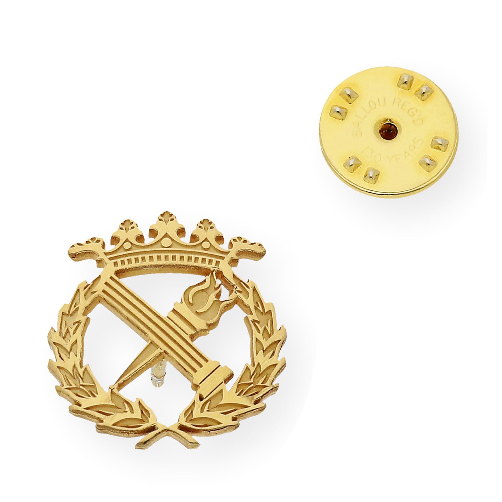 Pin Insignia Profesional de Filosofía en Plata de Ley 925 Bañada en Oro de 18K