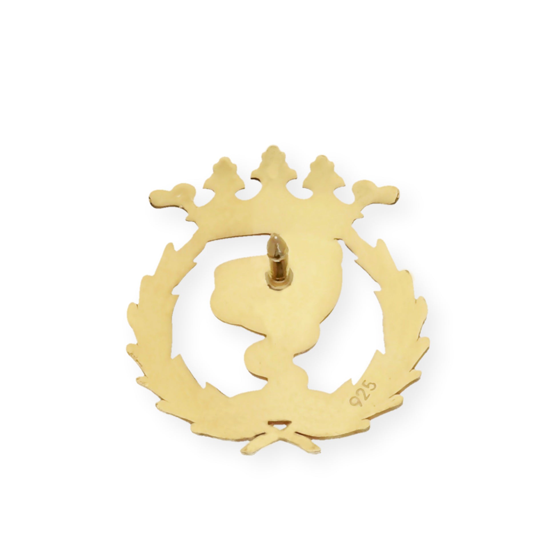 Pin Insignia Profesional de Farmacia en Plata de Ley 925 Bañada en Oro de 18K
