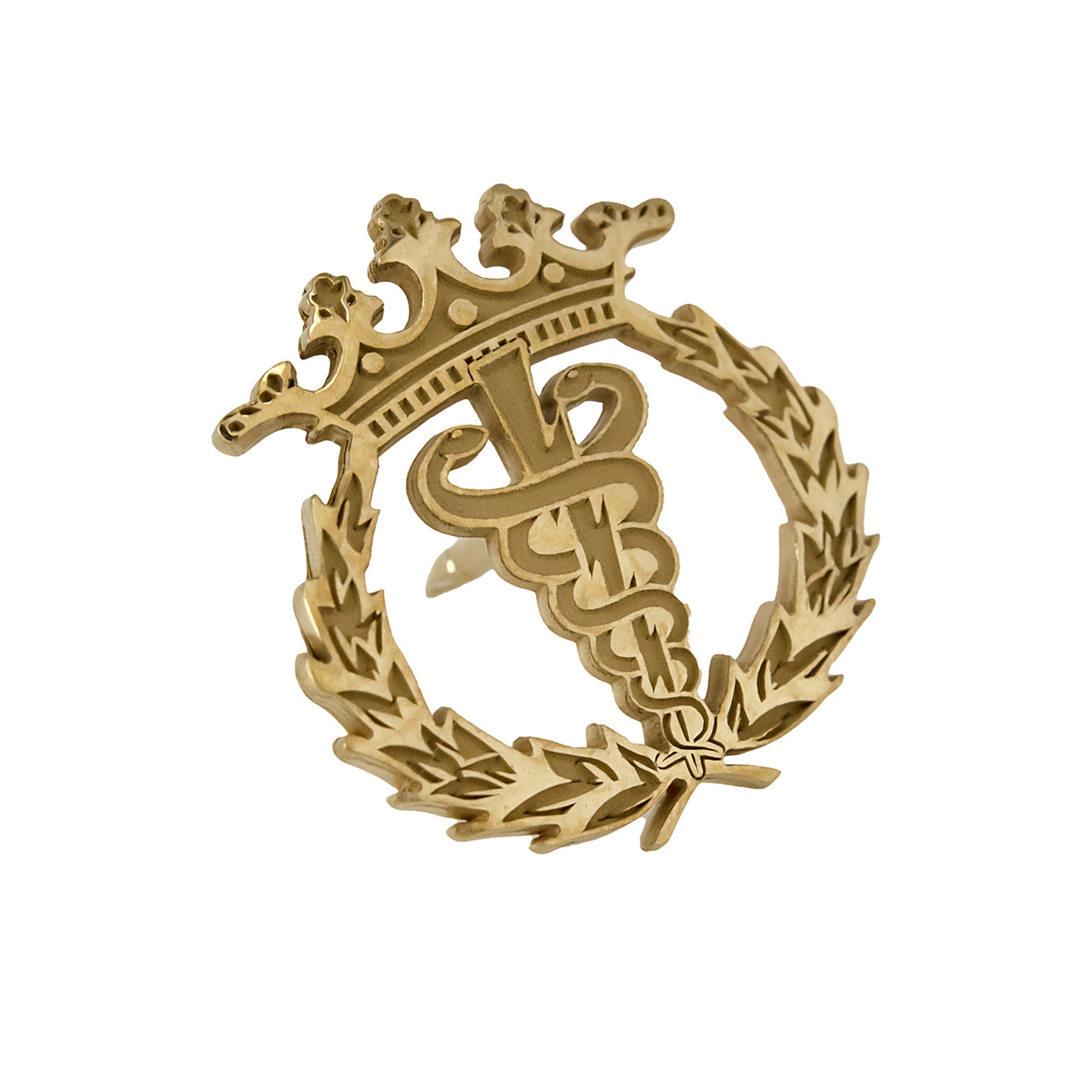 Pin Insignia Profesional de Fisioterapia en Oro de Ley 18K