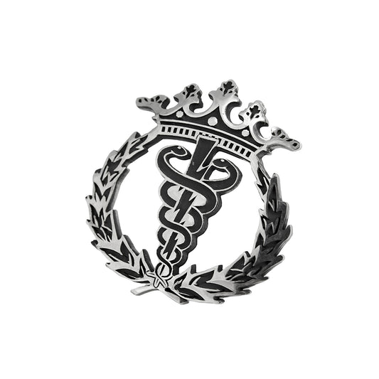 Pin Insignia Profesional de Fisioterapia en Plata de Ley 925