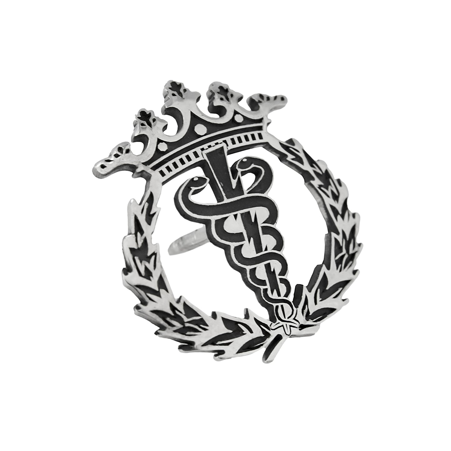 Pin Insignia Profesional de Fisioterapia en Plata de Ley 925