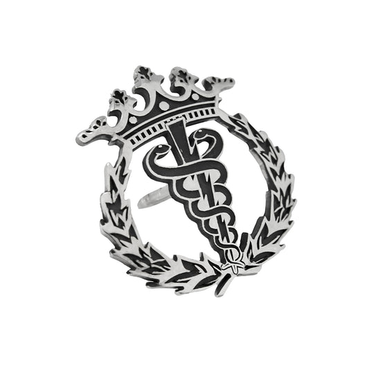 Pin Insignia Profesional de Fisioterapia en Plata de Ley 925