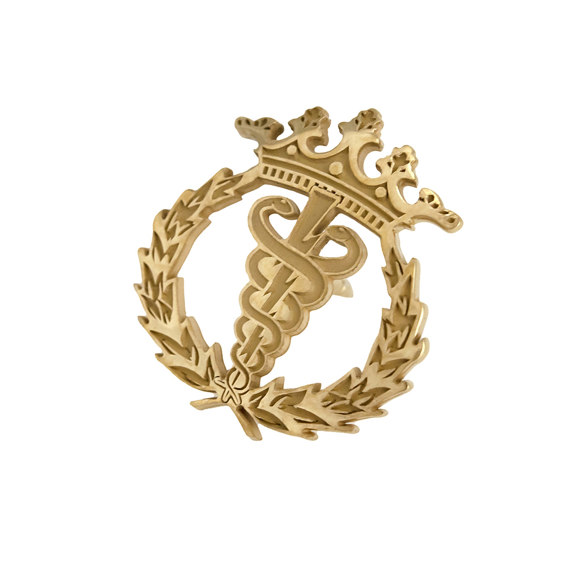 Pin Insignia Profesional de Fisioterapia en Plata de Ley 925 Bañada en Oro de 18K