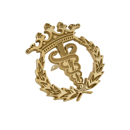 Pin Insignia Profesional de Fisioterapia en Plata de Ley 925 Bañada en Oro de 18K