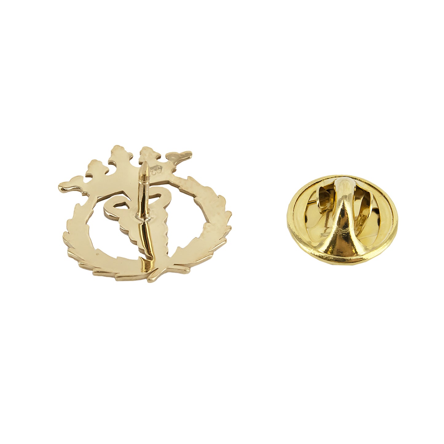 Pin Insignia Profesional de Fisioterapia en Plata de Ley 925 Bañada en Oro de 18K