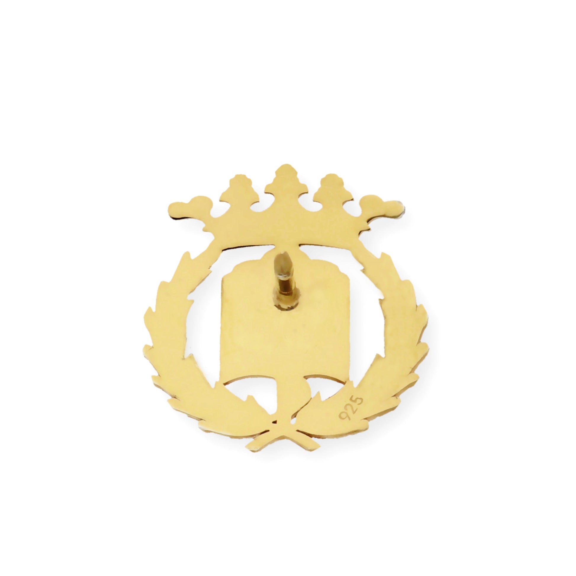 Pin Insignia Profesional de Medicina en Plata de Ley 925 Bañada en Oro de 18K
