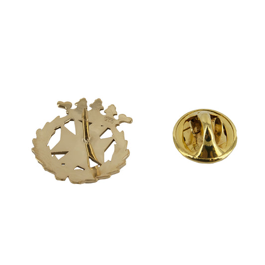 Pin Insignia Profesional de Odontología en Oro de Ley 18K