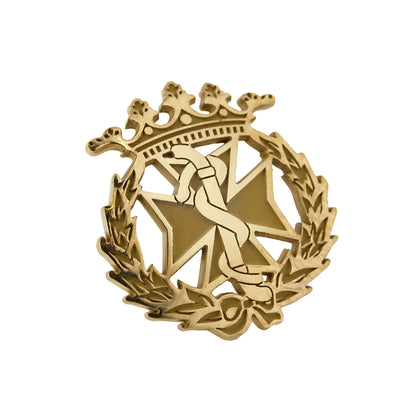 Pin Insignia Profesional de Odontología en Plata de Ley 925 Bañada en Oro de 18K