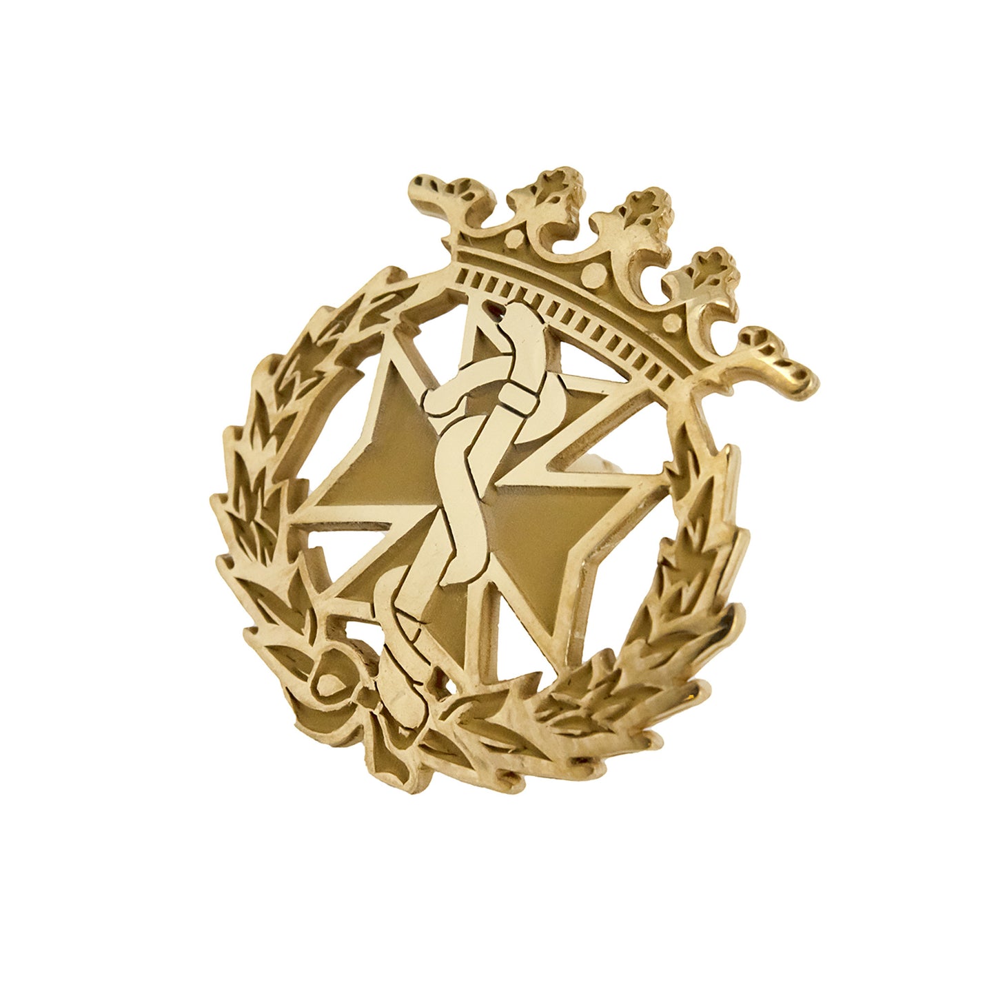 Pin Insignia Profesional de Odontología en Plata de Ley 925 Bañada en Oro de 18K