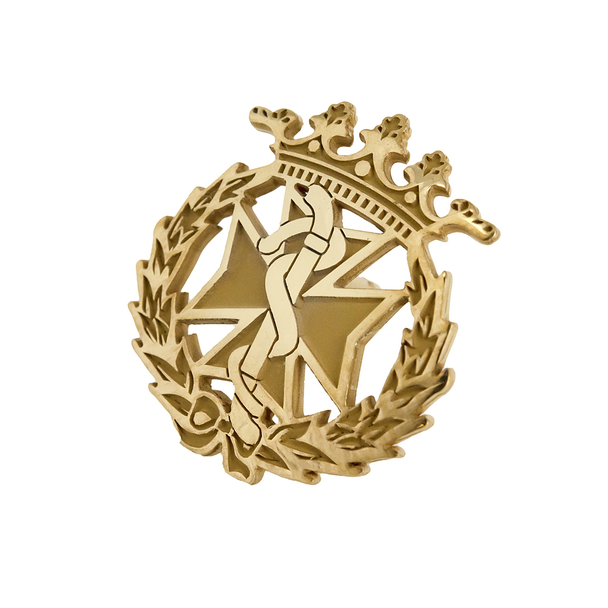 Pin Insignia Profesional de Odontología en Plata de Ley 925 Bañada en Oro de 18K