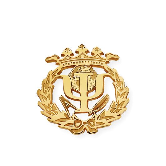 Pin Insignia Profesional de Pedagogía en Plata de Ley 925 Bañada en Oro de 18K